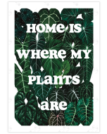 The words "Home is where my plants are" cut out in white against a wall of aroid leaves