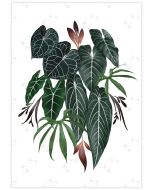 Vibrant poster featuring a composition of aroid leaves on a white background with subtle rust accents.