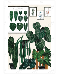 Captivating poster showcasing Anthuriums in charming pots and on stylish crates against a botanical backdrop.