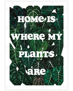 The words "Home is where my plants are" cut out in white against a wall of aroid leaves