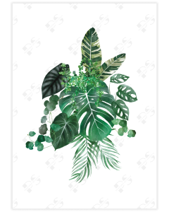 A composition of aroid leaves against a white background