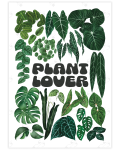 A poster with the words plant lover in the center surrounded by various leaves
